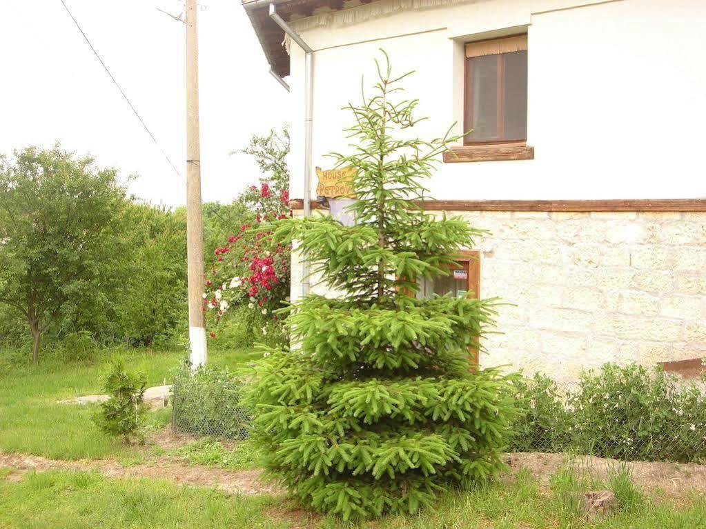 Къща Под Наем Petrova Hotel Cherven  Exterior foto